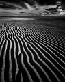42 - Moreton bay sand ripples - THOMSON SUE - australia